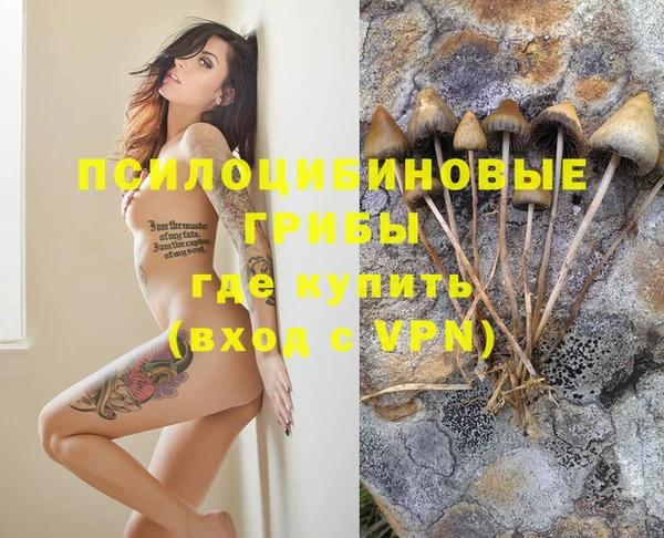 молекула духа Алексеевка