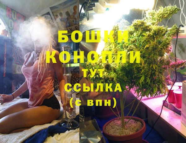 молекула духа Алексеевка