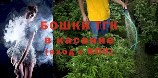 молекула духа Алексеевка