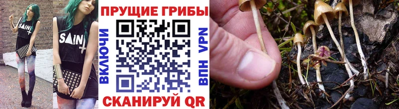 Галлюциногенные грибы прущие грибы  Тобольск 