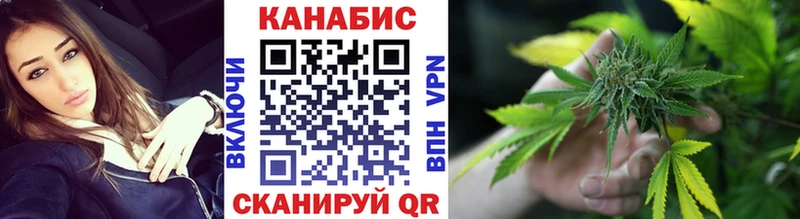 закладки  Тобольск  Конопля план 